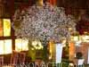 Fotos de Decora��o de Casamento
