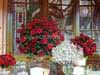 Fotos de Decora��o de Casamento