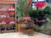 Fotos de Decora��o de Casamento