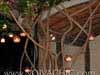 Fotos de Decora��o de Casamento